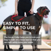 Canny Collar No-Pull Dog Head Collar Gentle & Humane Leash Training Aid