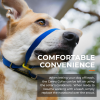 Canny Colossus No-Pull Dog Head Collar Gentle & Humane Leash Training Aid