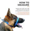 Canny Colossus No-Pull Dog Head Collar Gentle & Humane Leash Training Aid