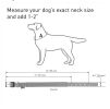 Blue Nylon Reflective Adjustable Dog Collar