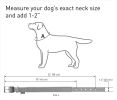 Blue Nylon Reflective Adjustable Dog Collar with Metal Buckle
