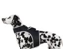 High Accuracy Realtime Mini Wireless GSM GPS Trackers for Dogs w/ App Size:M