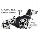 High Accuracy Realtime Mini Wireless GSM GPS Trackers for Dogs w/ App Size:M