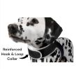 Low Maintenance Mini Dog Tracking GPRS GPS GSM
