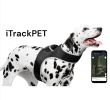 Low Maintenance Mini Dog Tracking GPRS GPS GSM