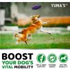 Glucosamine & Chondroitin for Dogs Joint Pain Relief 2-pk