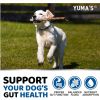 Probiotics & Digestive Support Enzymes for Dogs Soft Chews