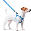 Waterproof Heavy Duty Dog Harness