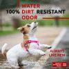 Small Dogs Heavy Duty Harness with Durable Metal Clasp