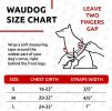 Small Dogs Heavy Duty Harness with Durable Metal Clasp