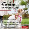 Small Dogs Heavy Duty Harness with Durable Metal Clasp