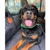 Firm Back Seat Hard Bottom Extender for Dogs