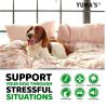 Advanced Dog Calming Chews, Melatonin & Hemp Oil