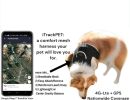 NEW Rechargeable GSM GPRS GPS Pet Tracking Dog Cat Waterproof Tracker Size:L