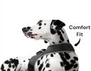 NEW Rechargeable GSM GPRS GPS Pet Tracking Dog Cat Waterproof Tracker Size:L