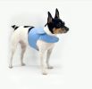 DCNY Periwinkle Harness Vest