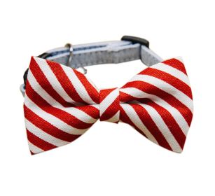 Small Gentlemen Dogs Striped Bow-tie Collar