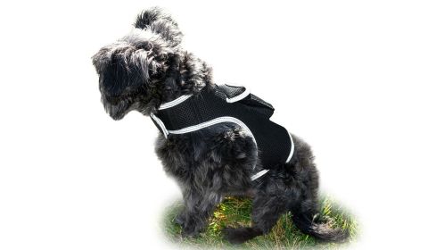 Collar Mount GPS Dog Tracker Waterproof Realtime Wireless Pet Monitor Size:S
