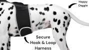 Waterproof Pet Tracking Dog Collar GPS Wireless Tracker Mini Locator Size:S