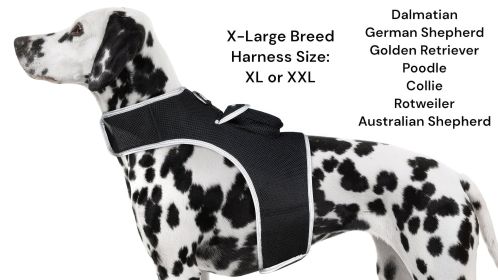 Collar Mount GPS Dog Tracker Waterproof Realtime Wireless Pet Monitor Size:XS