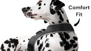 Waterproof Pet Tracking Dog Collar GPS Wireless Tracker Mini Locator Size:M
