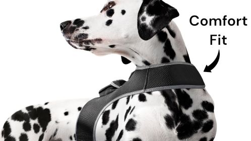 Waterproof Pet Tracking Dog Collar GPS Wireless Tracker Mini Locator Size:M
