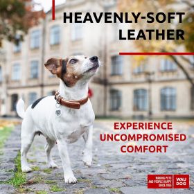 Brown Adjustable Soft Leather Dog Collar