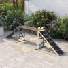 PawHut Dog Agility Walk and Pause Training Ramp with Safety Bar