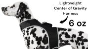 Waterproof Pet Tracking Dog Collar GPS Wireless Tracker Mini Locator Size:XS