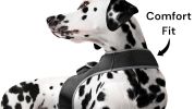 Collar Mount GPS Dog Tracker Waterproof Realtime Wireless Pet Monitor Size:XL