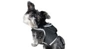 Waterproof Pet Tracking Dog Collar GPS Wireless Tracker Mini Locator Size:S