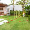 PawHut Dog Agility Training Equipment Set with Adjustable Weave Poles Jumping Ring High Jump Portable 3PCs