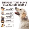 Dogs Calming Chews with Valerian Root and Hemp Oil