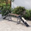 PawHut Dog Agility Walk and Pause Training Ramp with Safety Bar