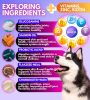 Chewable Multivitamin with Glucosamine 16 in 1 Dog Vitamins and Supplements