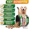 Large Dogs 2 Pack Glucosamine & Chondroitin Hip & Joint Supplement