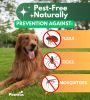 Natural Flea and Tick Prevention for Dogs Soft Chew
