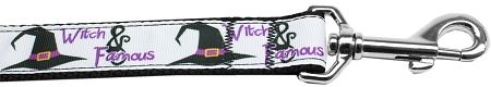 Witch and Famous Nylon Dog Leash (Option: 4 Foot)