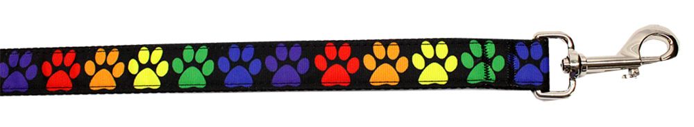 Rainbow Paws Nylon Pet Leash (Option: 1in by 6ft)