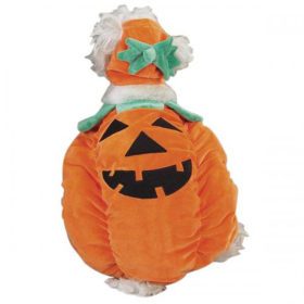Zack & Zoey Pumpkin Pooch Costume (Color: orange, size: large)