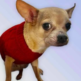 Knit Turtleneck Dog Sweater (Color: Wine red, size: small)
