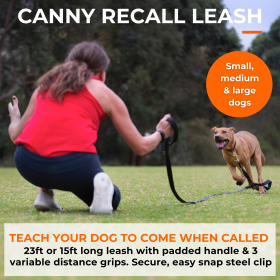 Canny Recall Leash (size: 15ft long 5/8" width)