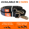 Canny Recall Leash