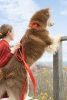 Scarlet Peaks Waterproof Dog Collar
