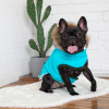 GF Dog Water-repellent Winter Sailor Parka