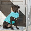 GF Dog Water-repellent Winter Sailor Parka