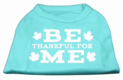 Be Thankful for Me Screen Print Shirt (Option: Aqua XS)