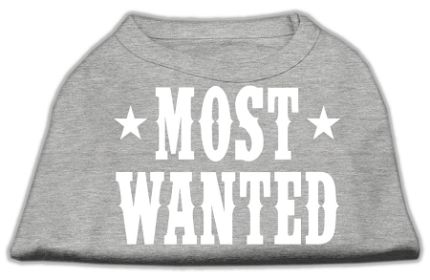 Most Wanted Screen Print Shirt (Option: Grey XS)
