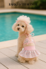 Bark Fifth Ave. Bikini Set