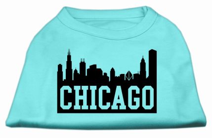Chicago Skyline Screen Print Shirt (Option: Aqua Lg)